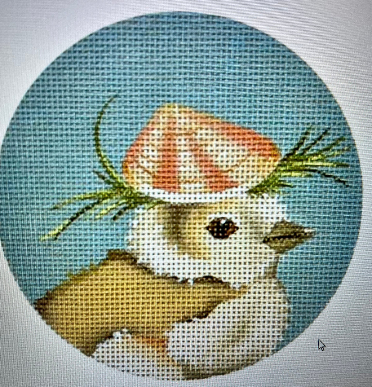 Piping Plover