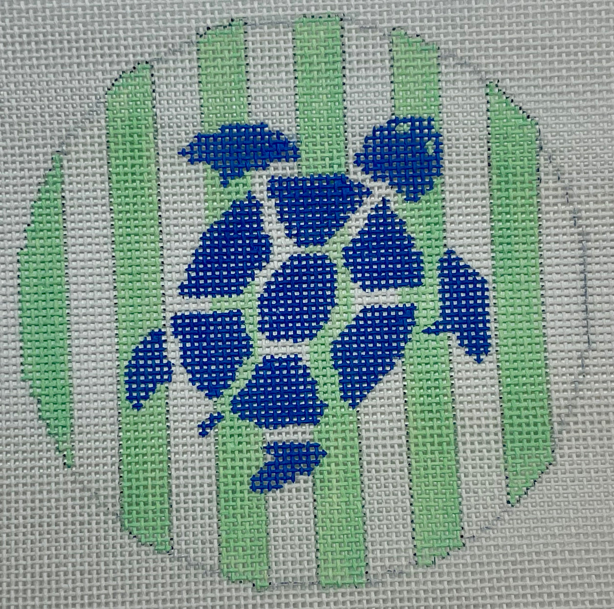 Turtle on Green Stripes