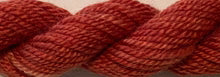Jumbuck | J-1264  Poppy