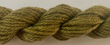 Jumbuck | J-1323  Seaweed