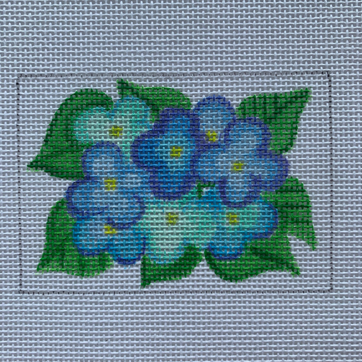 Hydrangeas  Insert