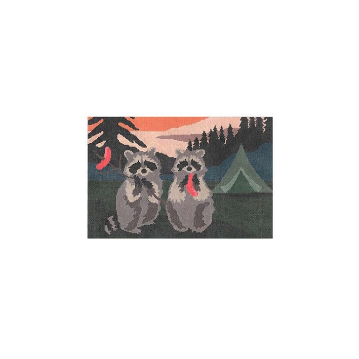 Camping Raccoons