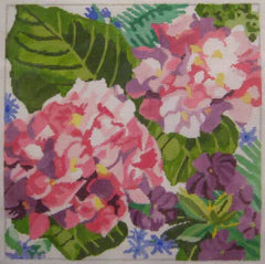 Lg Hydrangea Blossoms