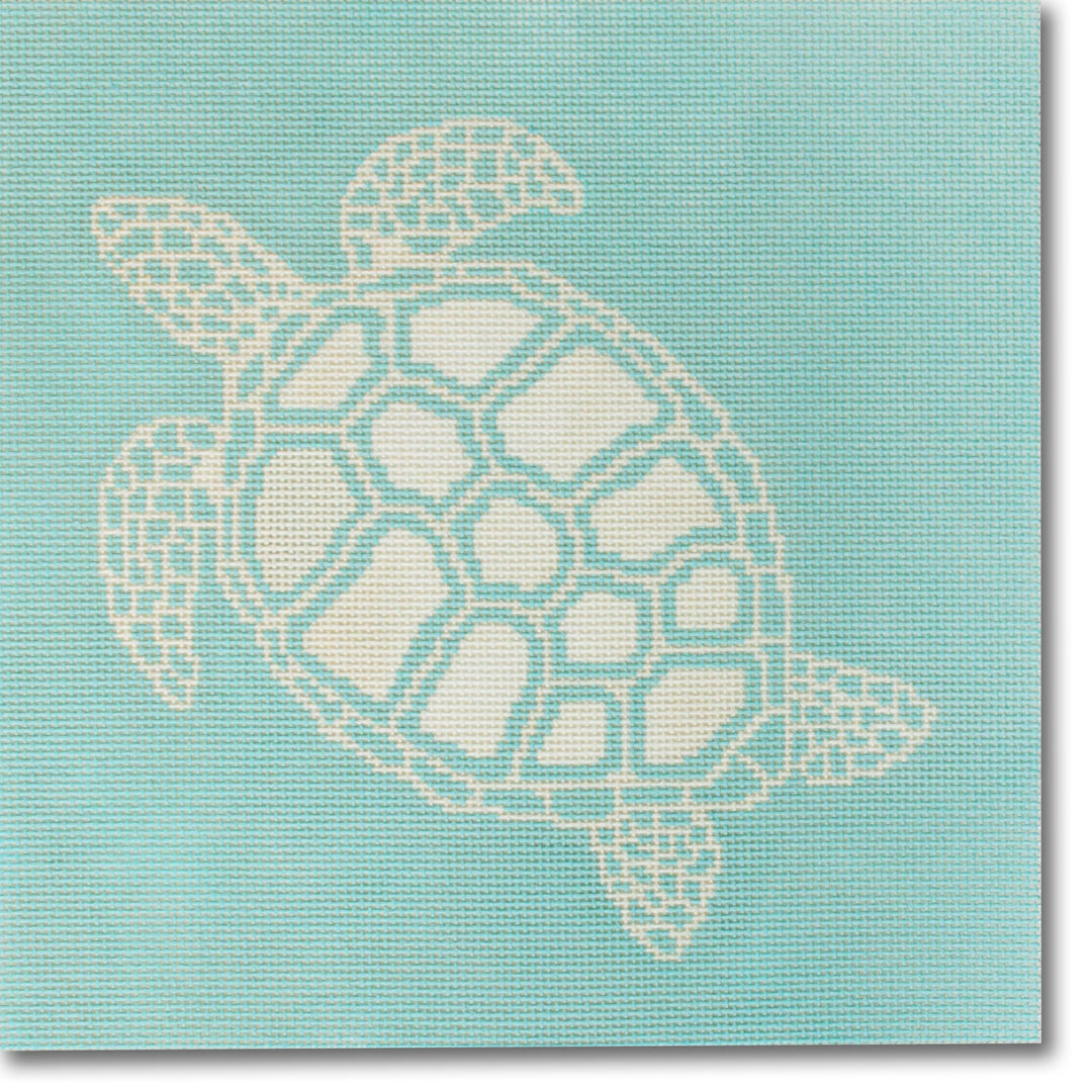 Turtle - Aqua Bkgd.