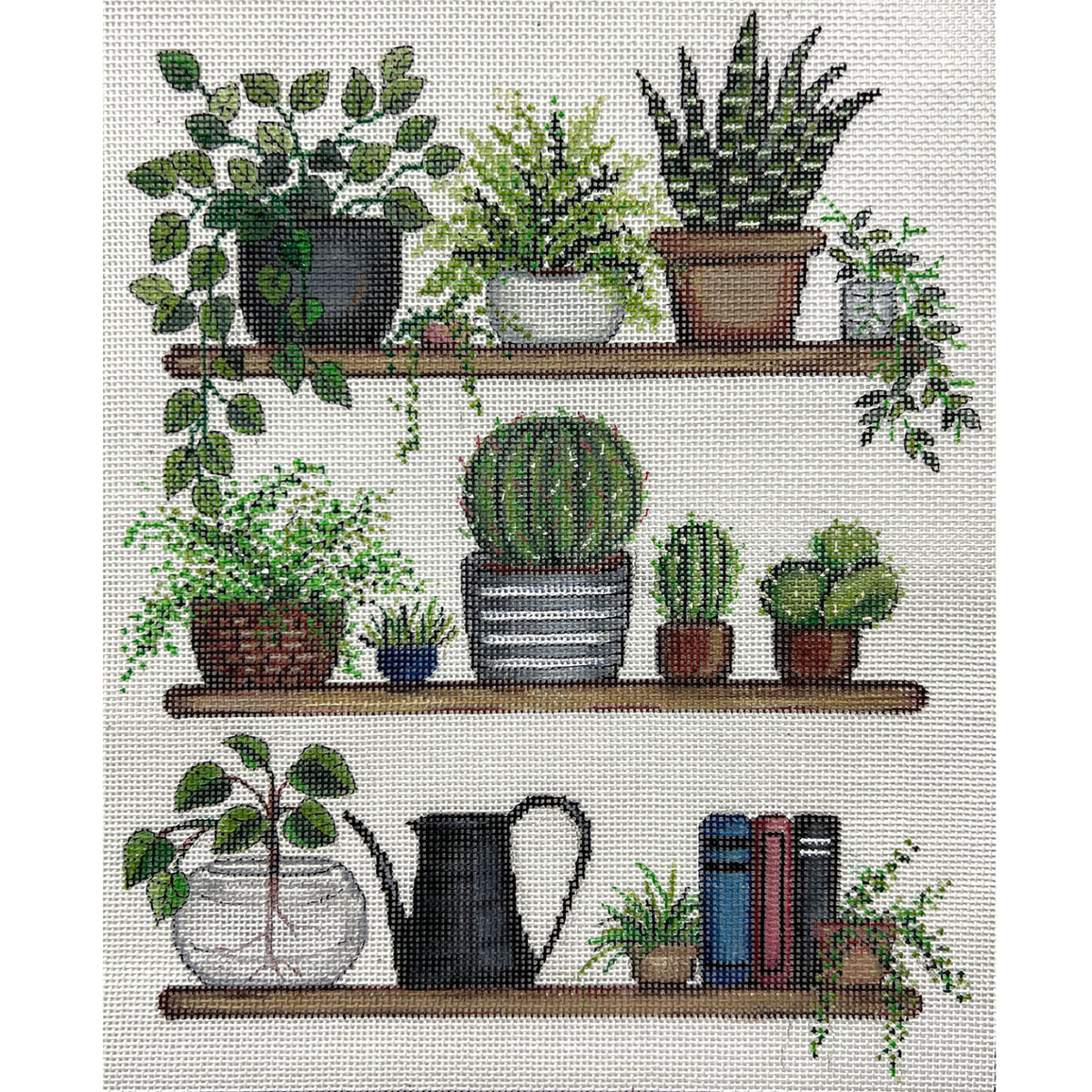 Plants, Plants, Plants