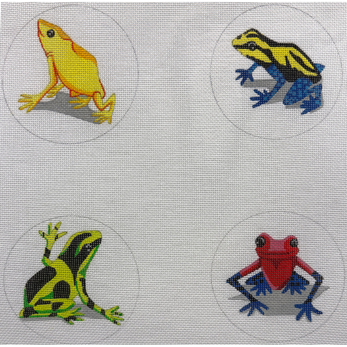 Tree Frog Coaster Set