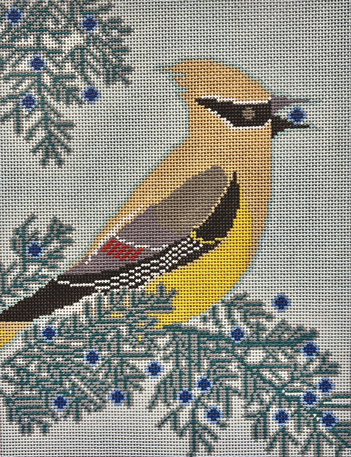 Cedar Waxwing