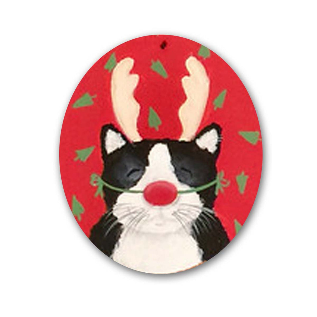 Cat With Red Nose