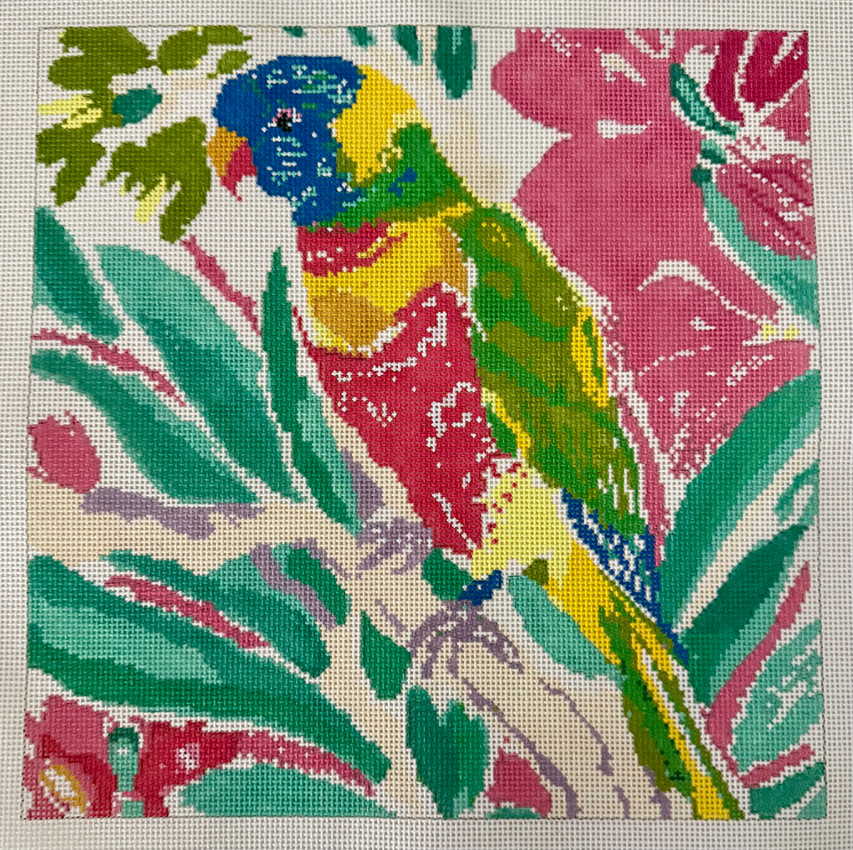 Colorful Parrot