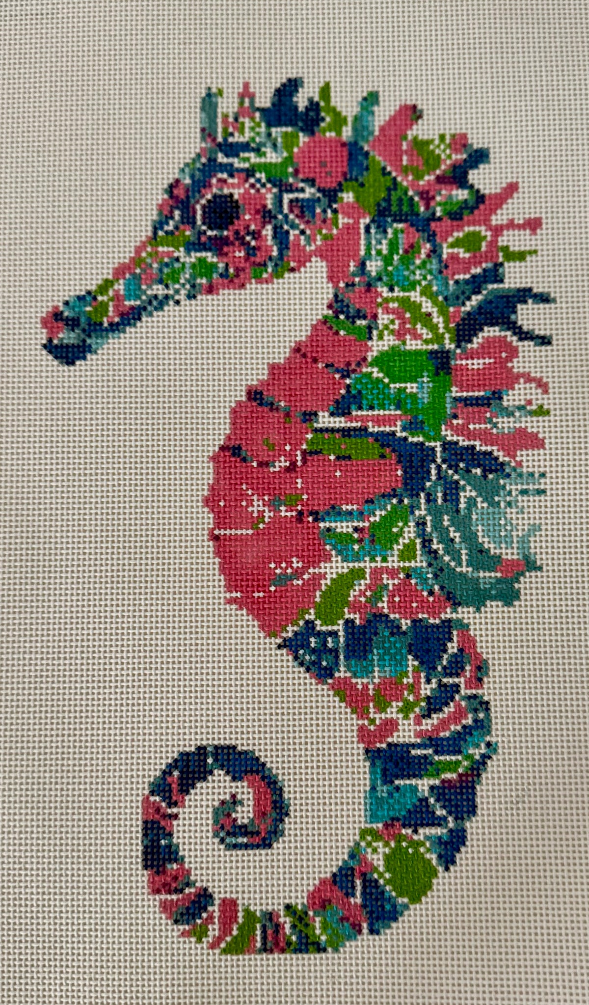 Colorful Seahorse