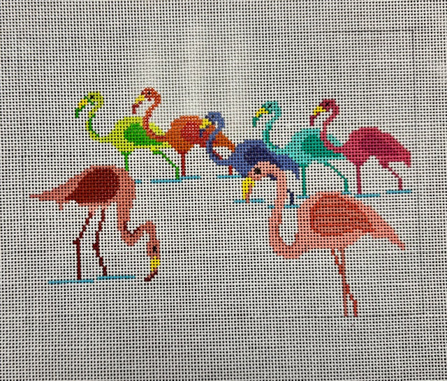 Group of Flamingos