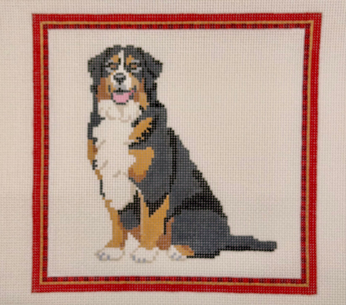 Bernese Mountain Dog