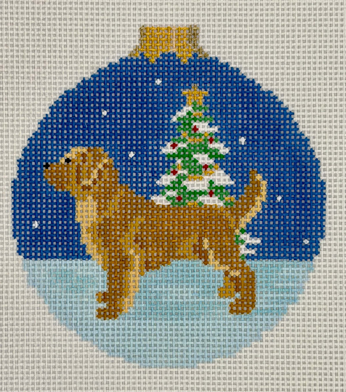 Midnight Golden Retriever - 13M
