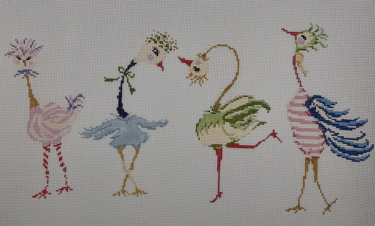 Strange Birds - 18M