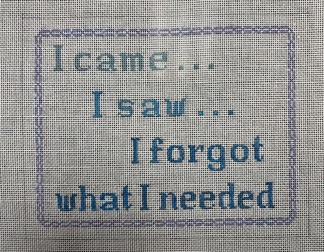 I Came...I Saw...I Forgot What I Needed