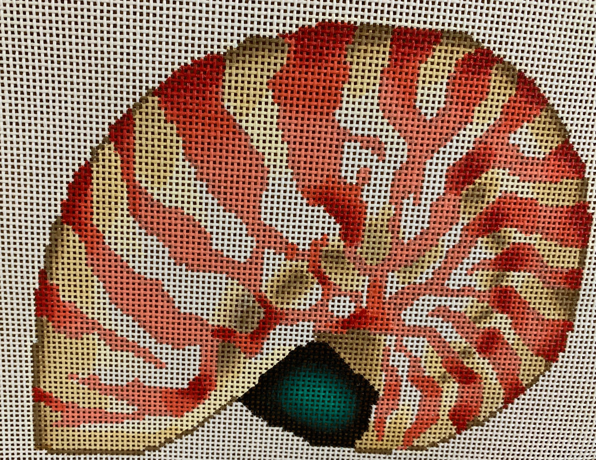 Nautilus Shell