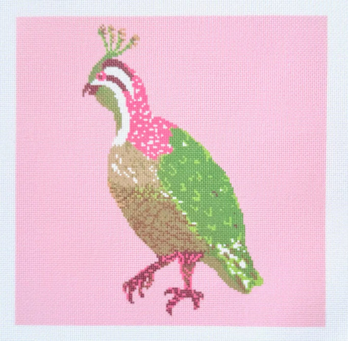 Pink Quail