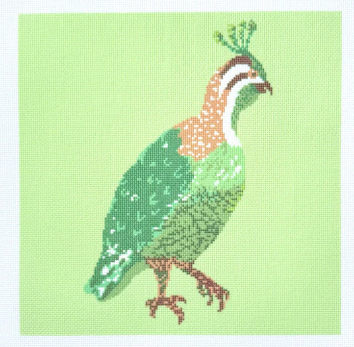 Green Quail