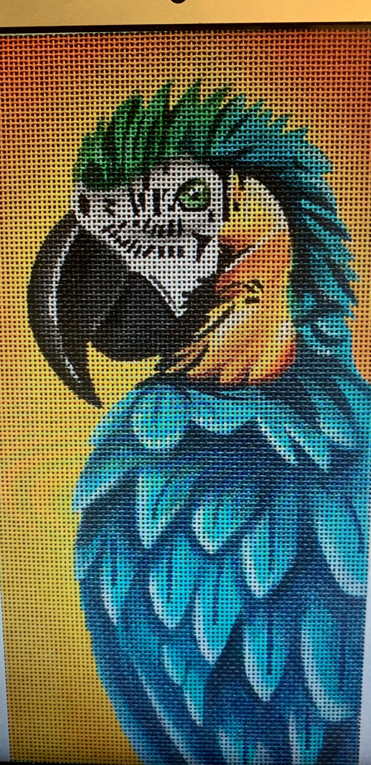 Bruce The Blue Parrot