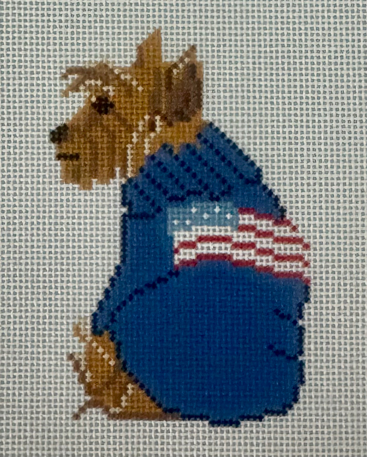 Yorkie with Sweater