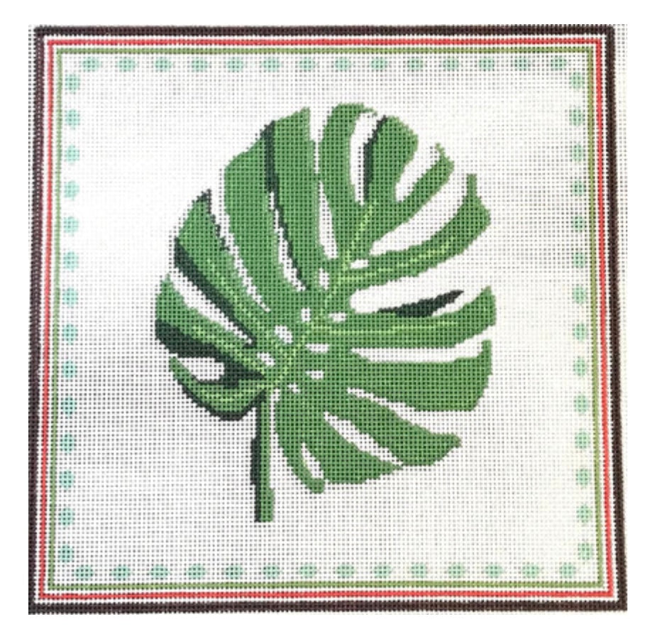 Monstera Mucha