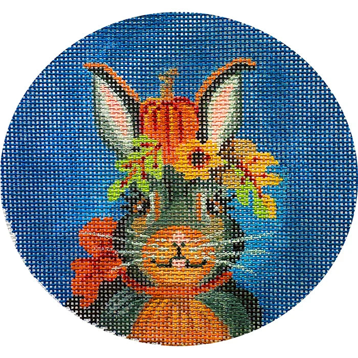 Janie a Halloween Jack Rabbit