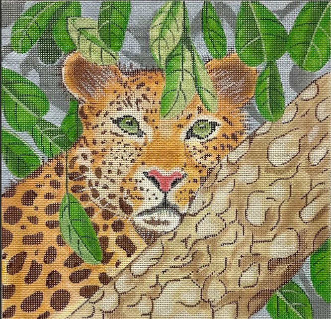 Tree Leopard