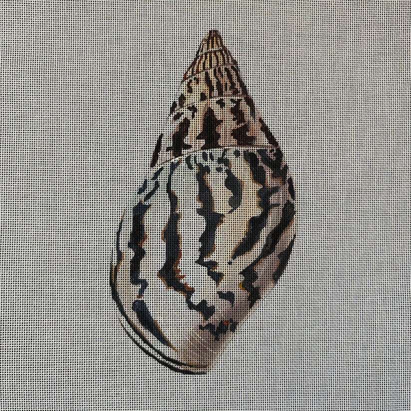 Seashell Front & Back