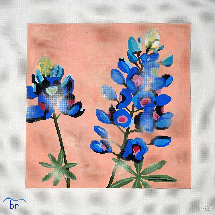 Bluebonnet (lupine)