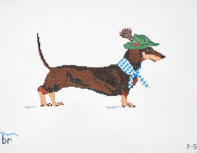 Dackel (dachshund) on 13 mesh