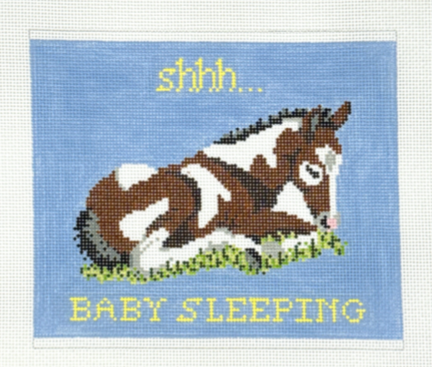 Baby Sleeping with Horse