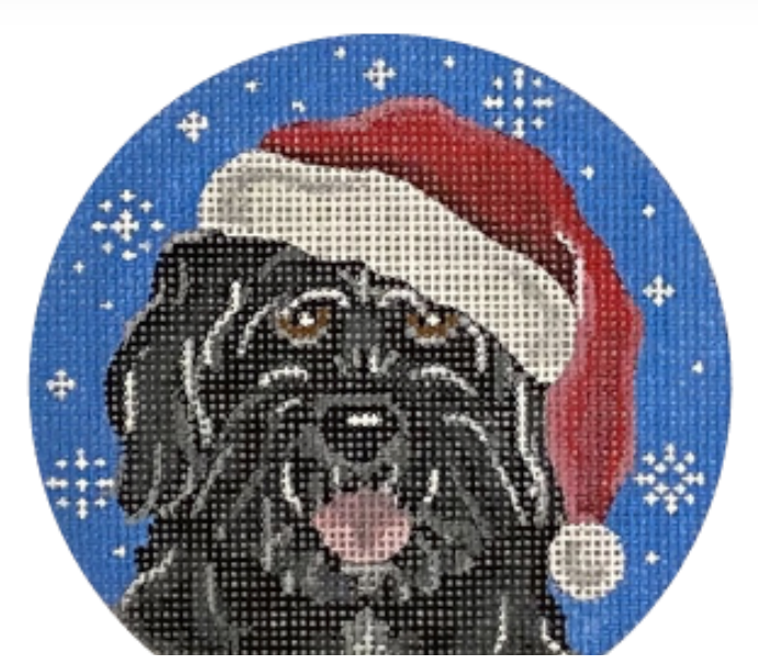 Portuguese Water Dog