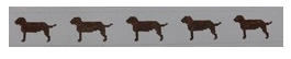 Chocolate Lab Belt