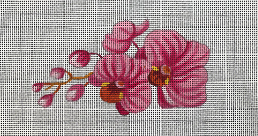 Orchid Insert
