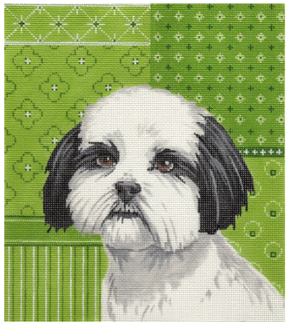 Shih Tzu on Green Square