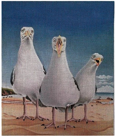 Beach Boys