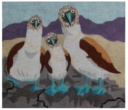 Boobies