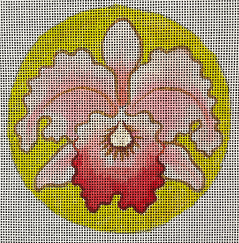 Orchid (TS)