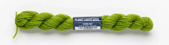 Planet Earth Wool | PEW-057 Fern