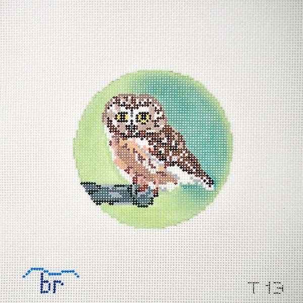 Rocky  (Saw Whet Owl)