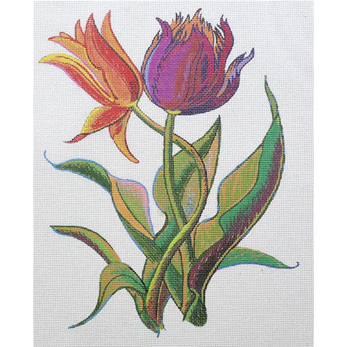Tulips