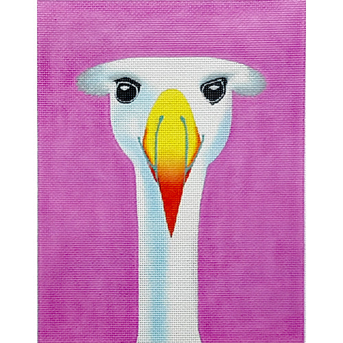 Albatross