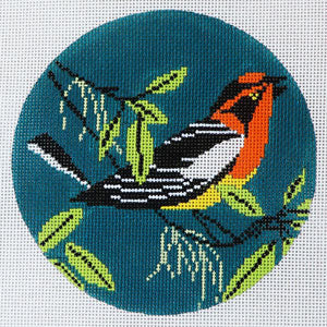 Blackburnian Warbler-TS