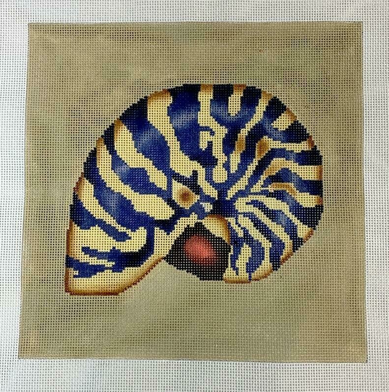 Blue Beige Nautilus Shell