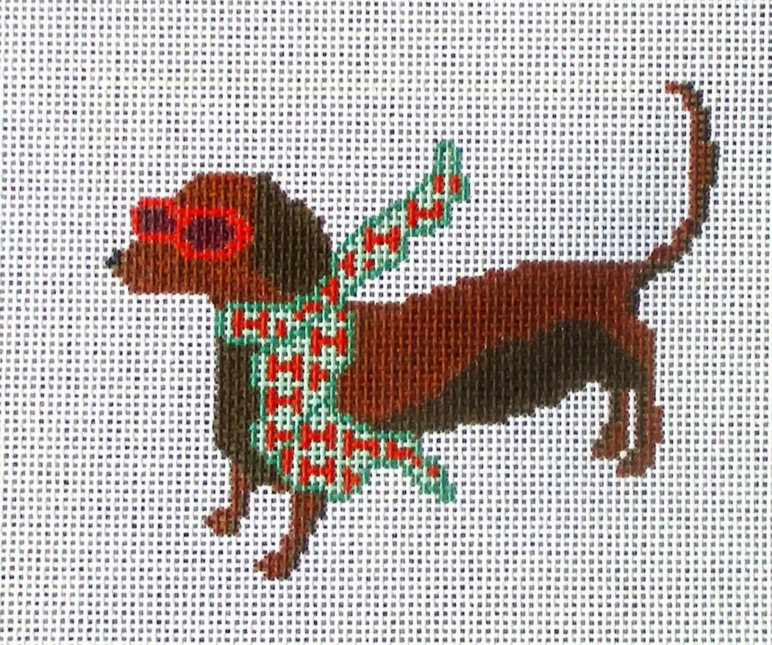 Bougie Dachshund