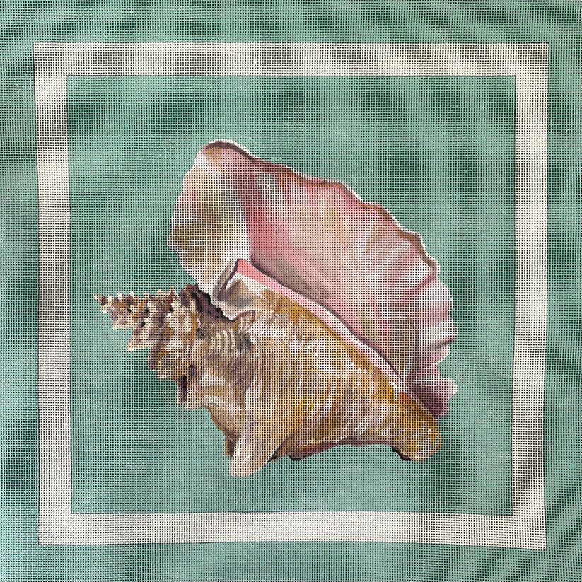 Conch Shell