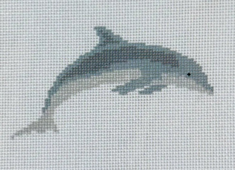 Dolphin