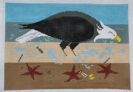 American Bald Eagle