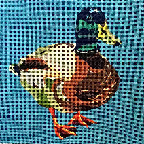 Mallard Jkna 070