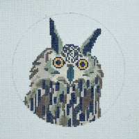 Flaco - The New York City Owl